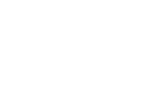 Ikus Solutions